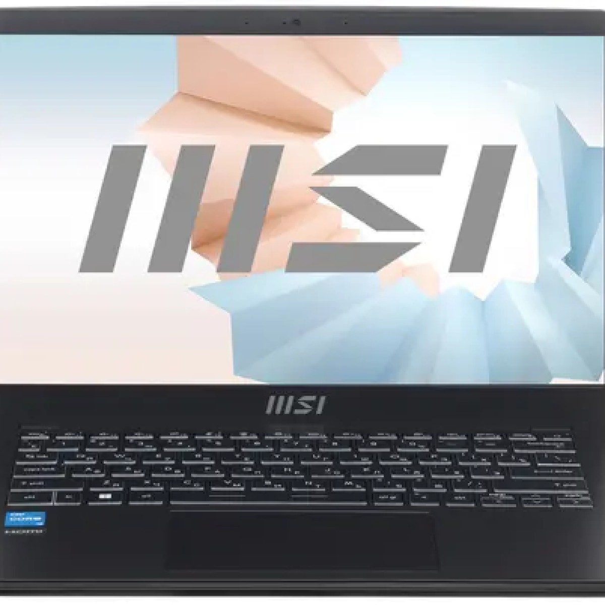 Ноутбук ультрабук MSI Modern 14 C12M-231RU 14"